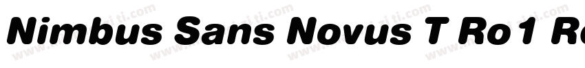 Nimbus Sans Novus T Ro1 Regular Ita字体转换